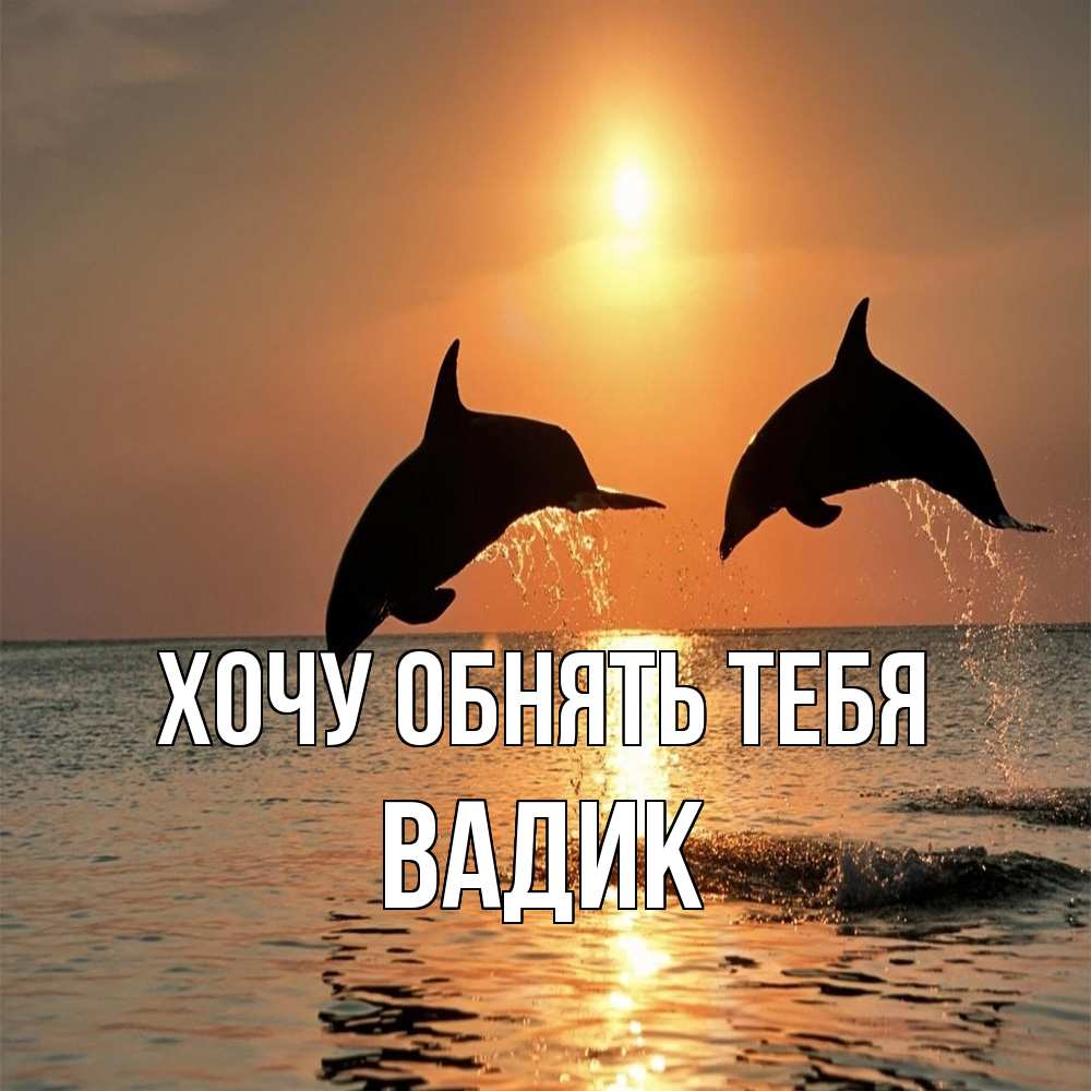 Открытка на каждый день с именем, Вадик Хочу обнять тебя рыбы на закате Прикольная открытка с пожеланием онлайн скачать бесплатно 