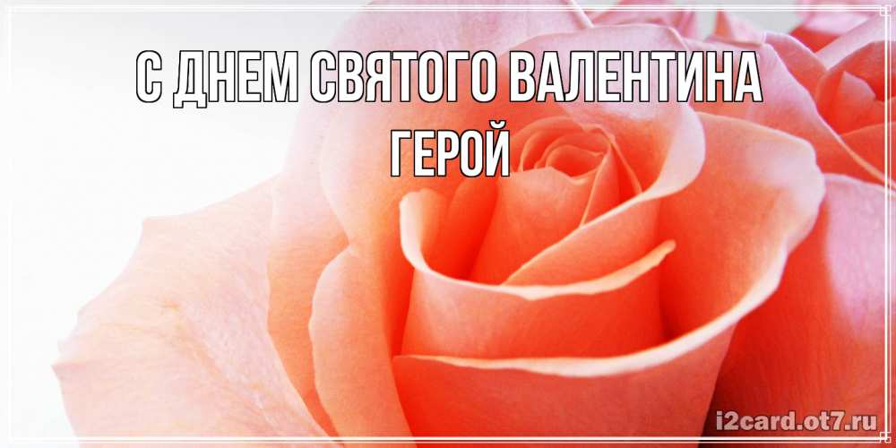 Открытка на каждый день с именем, Герой С днем Святого Валентина открытка на день Святого Валентина с розовой розой Прикольная открытка с пожеланием онлайн скачать бесплатно 