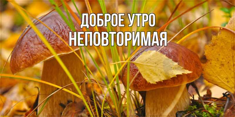 Картинка Доброе утро, Неповторимая