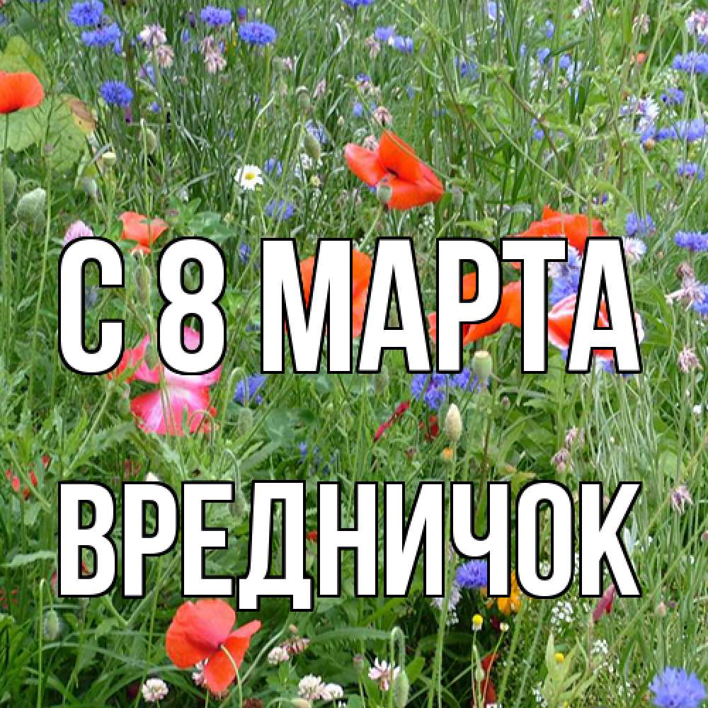 Открытка на каждый день с именем, Вредничок C 8 МАРТА международный женский день 4 Прикольная открытка с пожеланием онлайн скачать бесплатно 