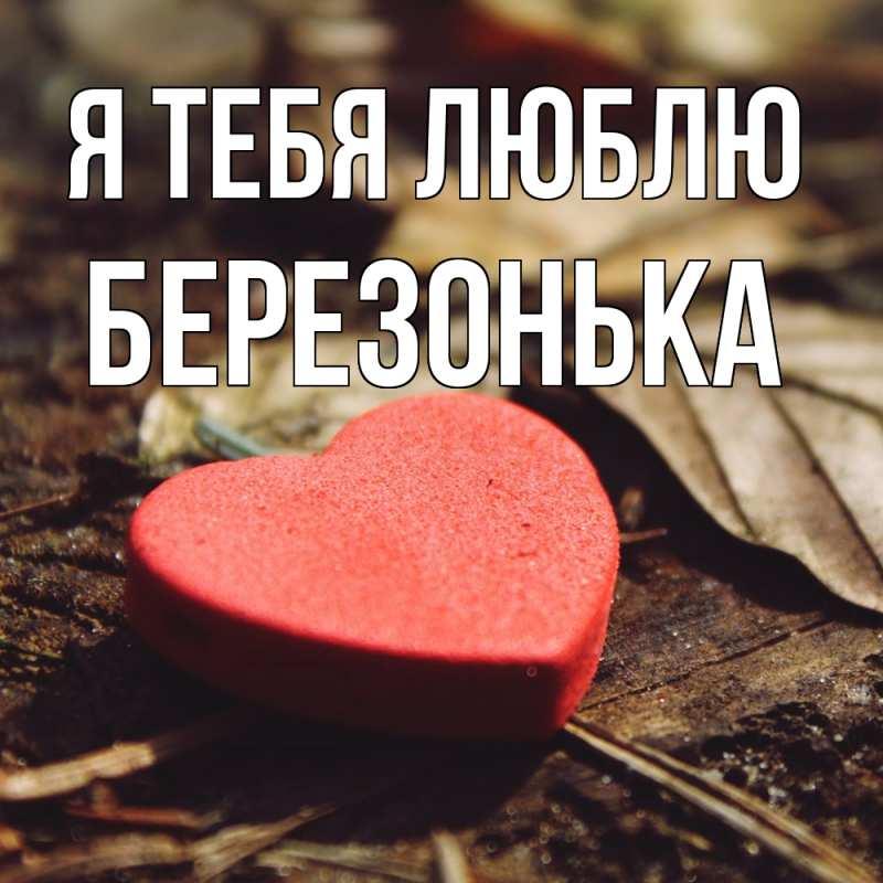 Картинка Я тебя люблю, Березонька