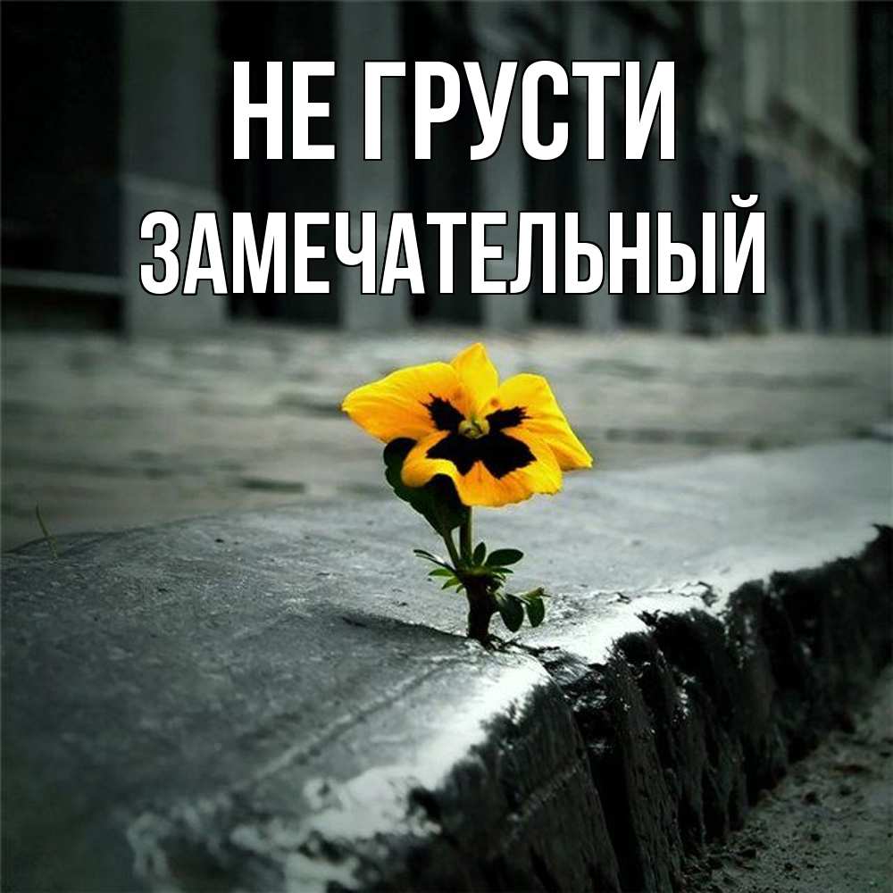 Открытка на каждый день с именем, Замечательный Не грусти не сдавайся Прикольная открытка с пожеланием онлайн скачать бесплатно 