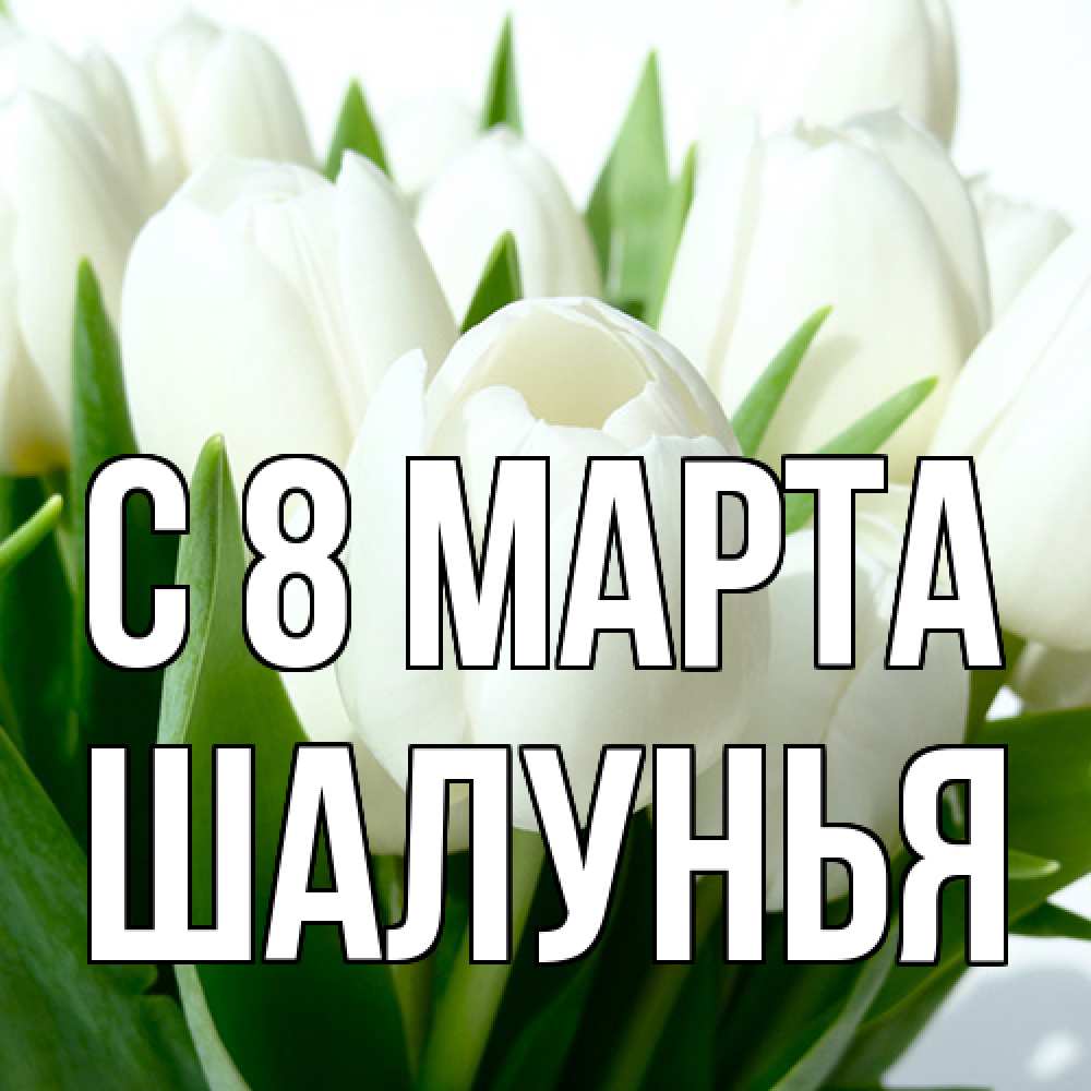 Открытка на каждый день с именем, Шалунья C 8 МАРТА цветы Прикольная открытка с пожеланием онлайн скачать бесплатно 