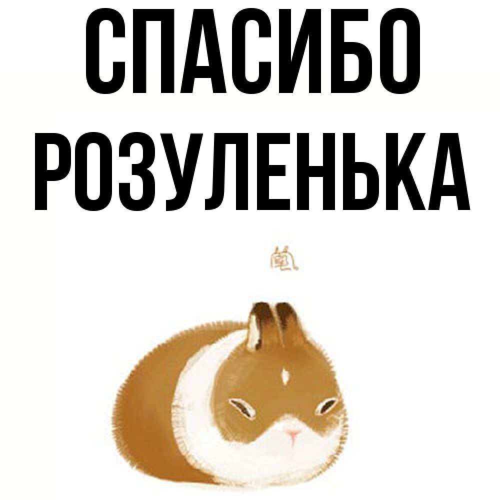 Открытка на каждый день с именем, Розуленька Спасибо коричнево белый домашний питомец Прикольная открытка с пожеланием онлайн скачать бесплатно 