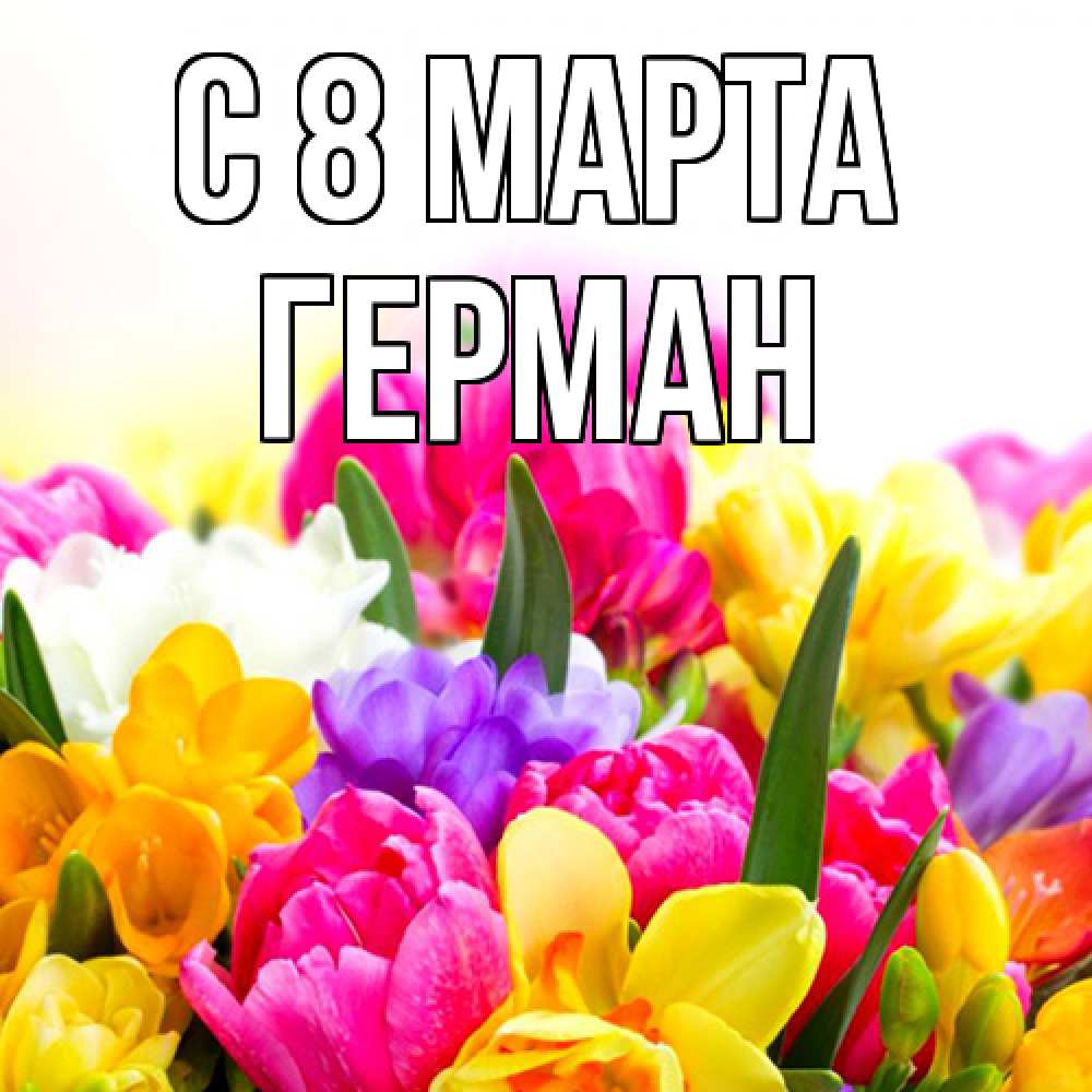 Открытка на каждый день с именем, Герман C 8 МАРТА тюльпаны Прикольная открытка с пожеланием онлайн скачать бесплатно 