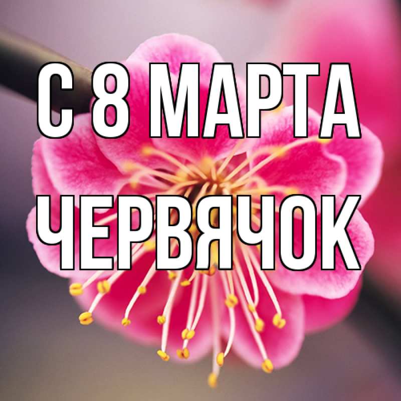 Картинка C 8 МАРТА, Червячок