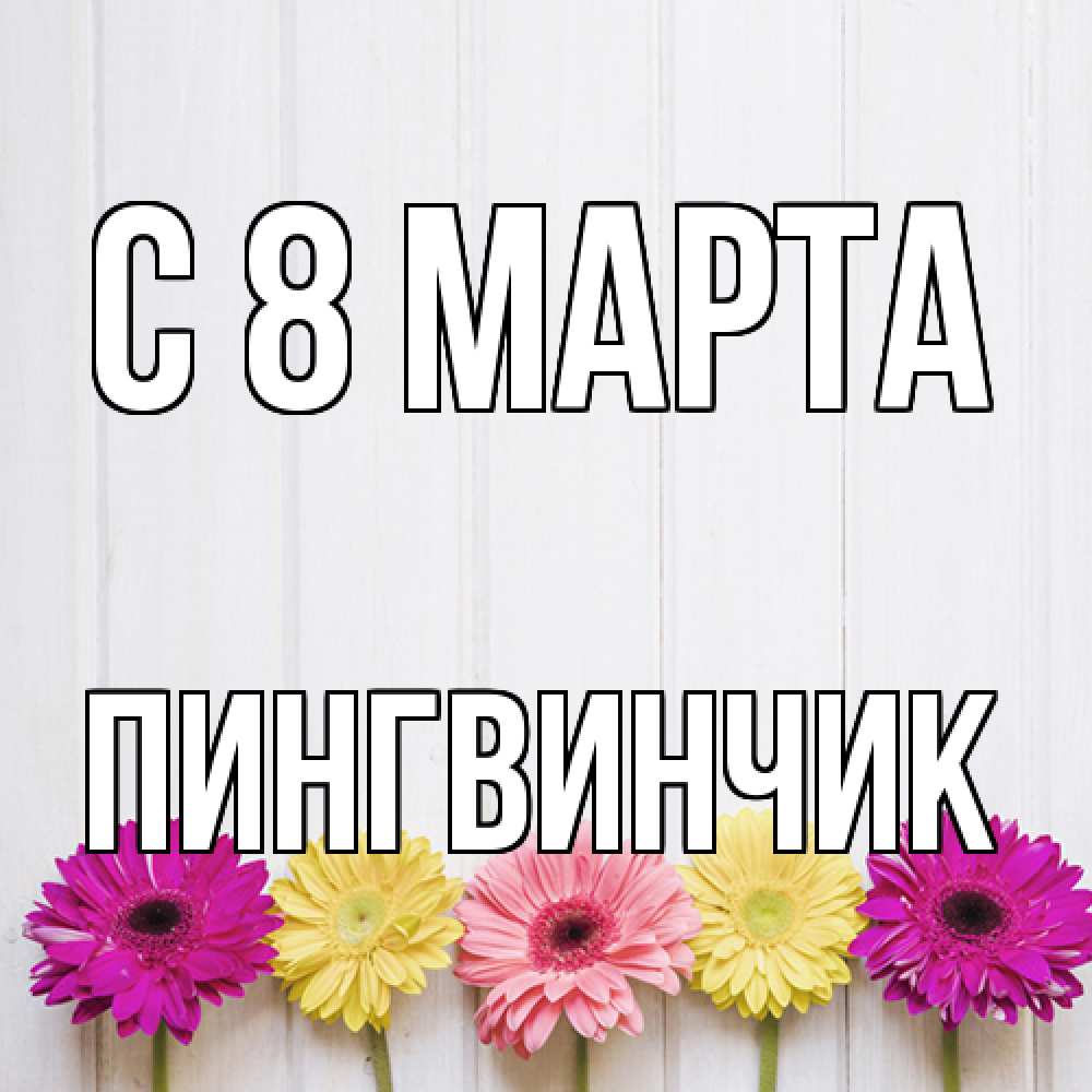 Открытка на каждый день с именем, пингвинчик C 8 МАРТА женщинам 1 Прикольная открытка с пожеланием онлайн скачать бесплатно 