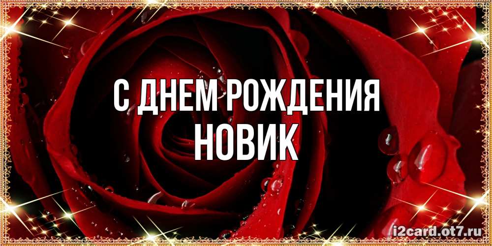 Открытка на каждый день с именем, новик С днем рождения цветок в росе на день рождения Прикольная открытка с пожеланием онлайн скачать бесплатно 