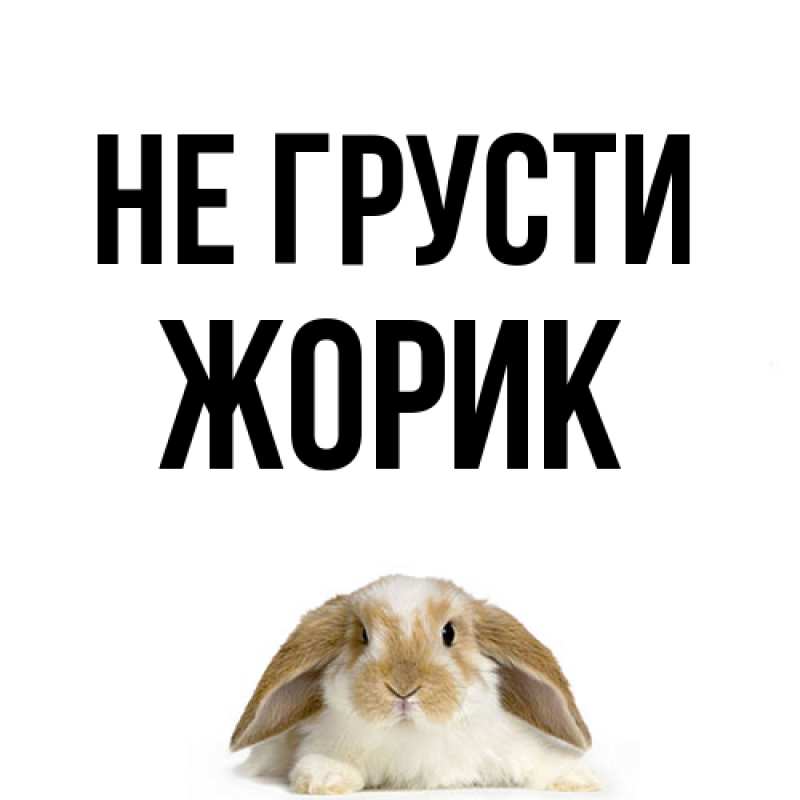 Картинка Не грусти, жорик
