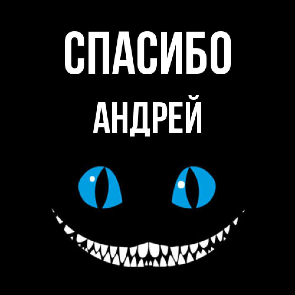 Открытка на каждый день с именем, Андрей Спасибо благодарю от чеширика Прикольная открытка с пожеланием онлайн скачать бесплатно 