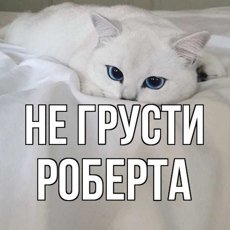 Картинка Не грусти, Роберта