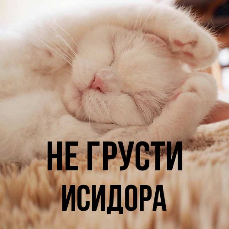 Картинка Не грусти, Исидора