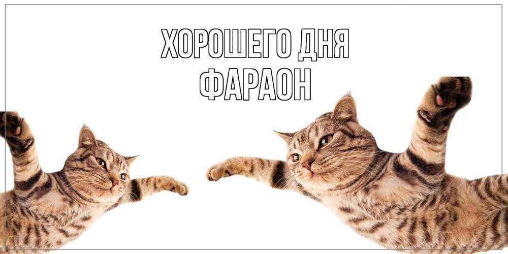 Открытка на каждый день с именем, Фараон Хорошего дня хорошего дня Прикольная открытка с пожеланием онлайн скачать бесплатно 