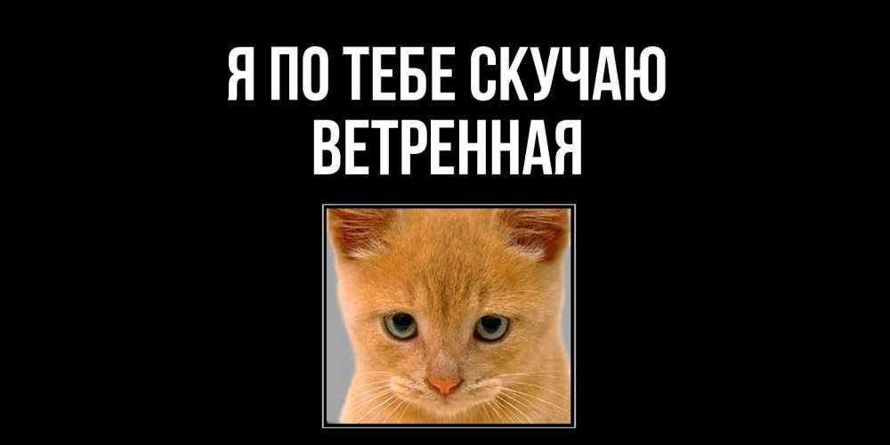 Открытка на каждый день с именем, Ветренная Я по тебе скучаю открытки рыжий котенок скучает по тебе Прикольная открытка с пожеланием онлайн скачать бесплатно 