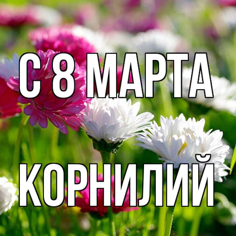 Картинка C 8 МАРТА, Корнилий