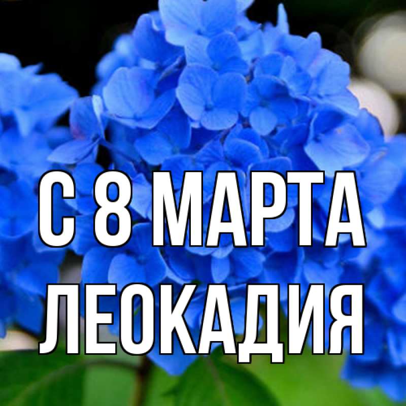 Картинка C 8 МАРТА, Леокадия
