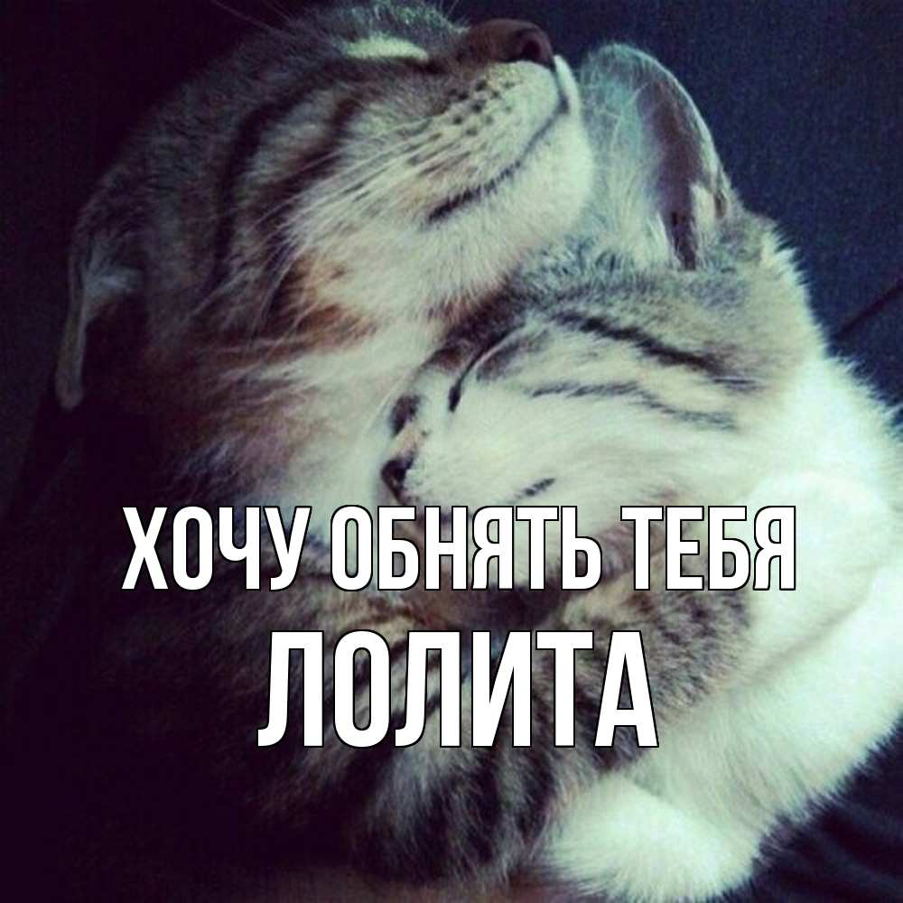 Открытка на каждый день с именем, Лолита Хочу обнять тебя полосатики Прикольная открытка с пожеланием онлайн скачать бесплатно 