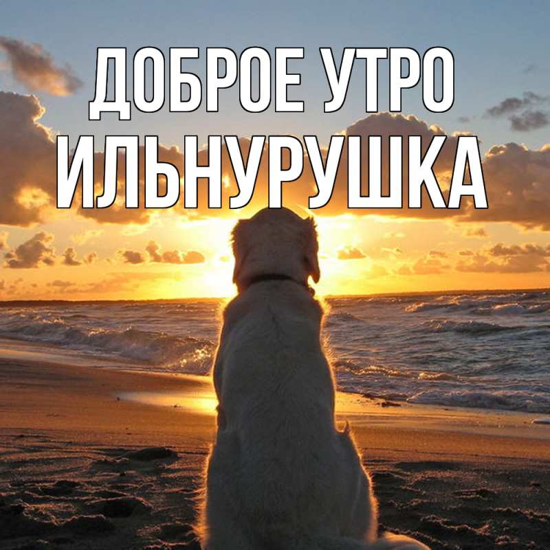 Картинка Доброе утро, Ильнурушка