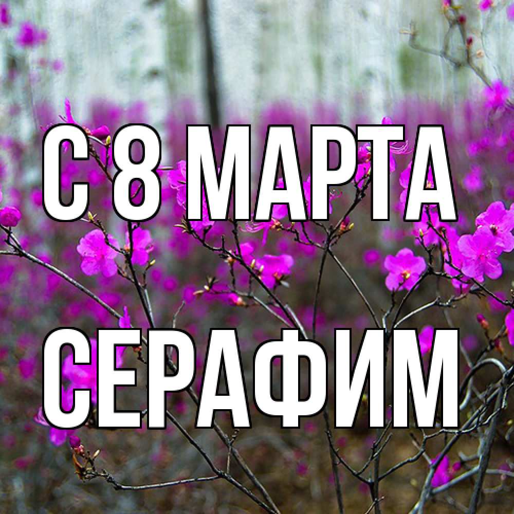 Открытка на каждый день с именем, Серафим C 8 МАРТА дикие цветы Прикольная открытка с пожеланием онлайн скачать бесплатно 