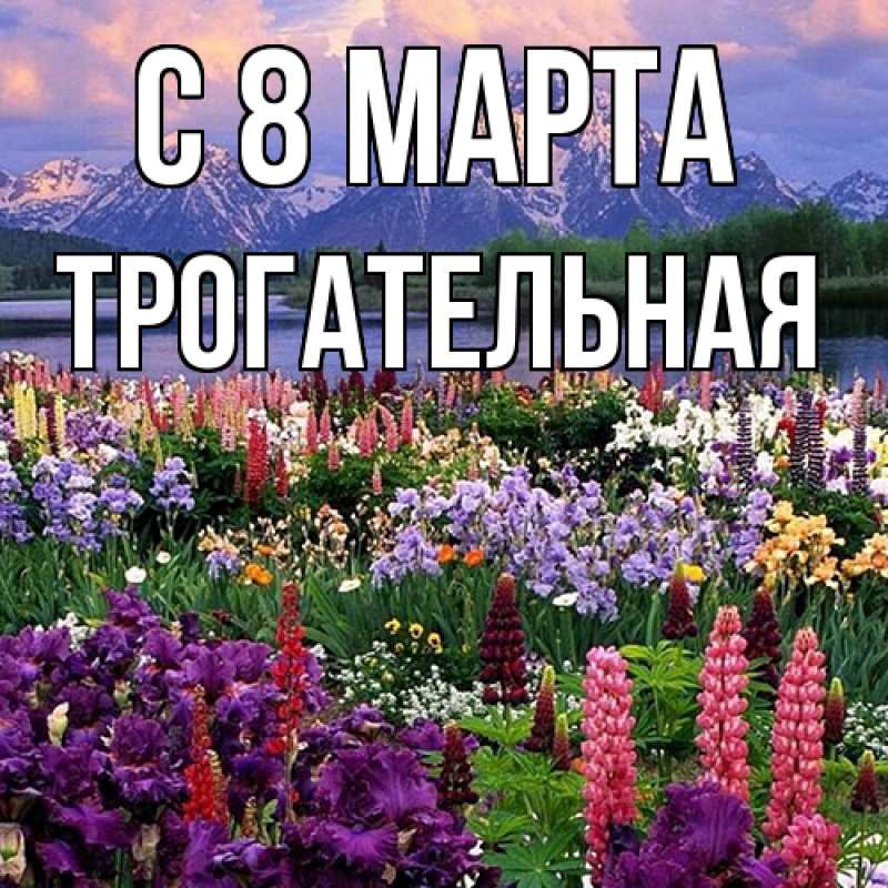 Картинка C 8 МАРТА, Тpогательная
