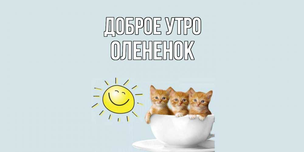 Открытка на каждый день с именем, Олененок Доброе утро котята Прикольная открытка с пожеланием онлайн скачать бесплатно 