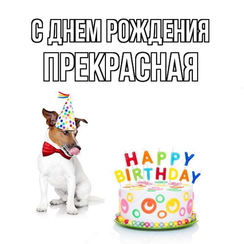 Картинка С днем рождения, Пpекpасная
