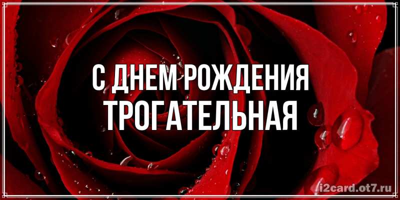 Картинка С днем рождения, Тpогательная