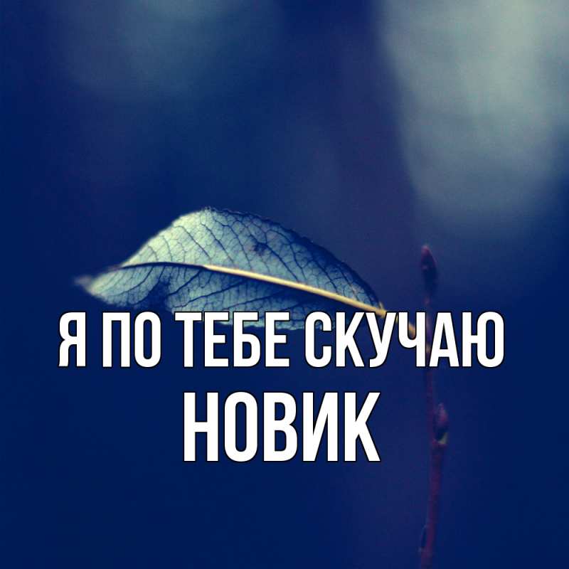 Картинка Я по тебе скучаю, новик