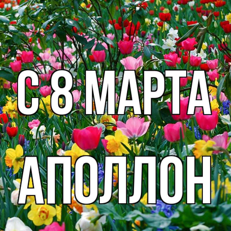Картинка C 8 МАРТА, Аполлон