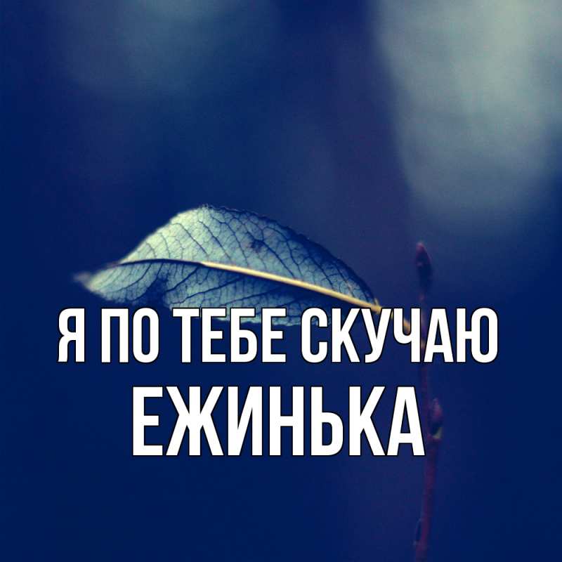 Картинка Я по тебе скучаю, ежинька