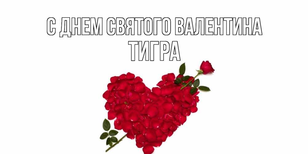 Открытка на каждый день с именем, Тигра С днем Святого Валентина роза как стрела амура попала в сердце из роз Прикольная открытка с пожеланием онлайн скачать бесплатно 