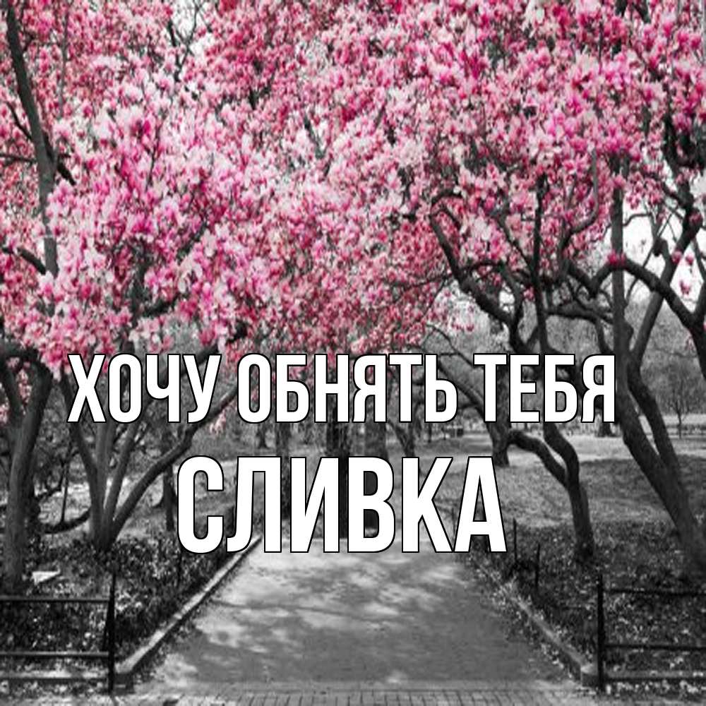 Открытка на каждый день с именем, Сливка Хочу обнять тебя обработанное фото Прикольная открытка с пожеланием онлайн скачать бесплатно 