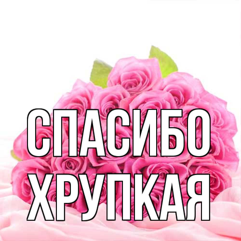 Открытка на каждый день с именем, Хрупкая Спасибо розовые розы с подписью Прикольная открытка с пожеланием онлайн скачать бесплатно 