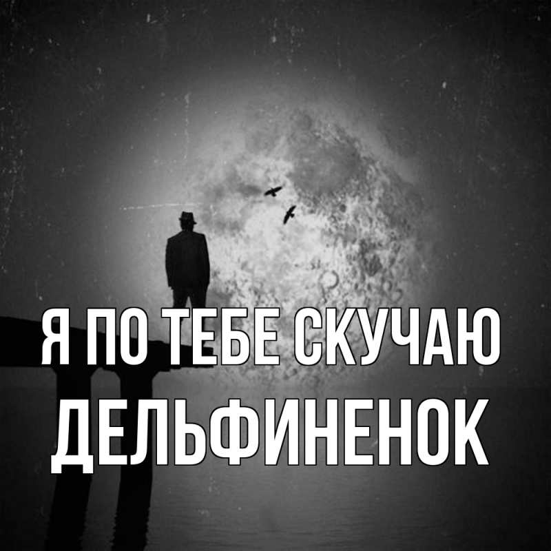 Картинка Я по тебе скучаю, дельфиненок