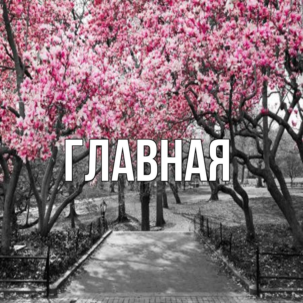 Открытка на каждый день с именем, настя Главная обработанное фото Прикольная открытка с пожеланием онлайн скачать бесплатно 