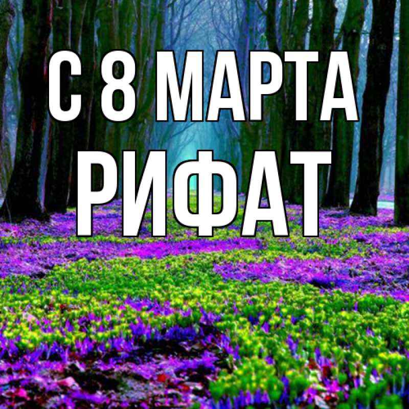Картинка C 8 МАРТА, Рифат