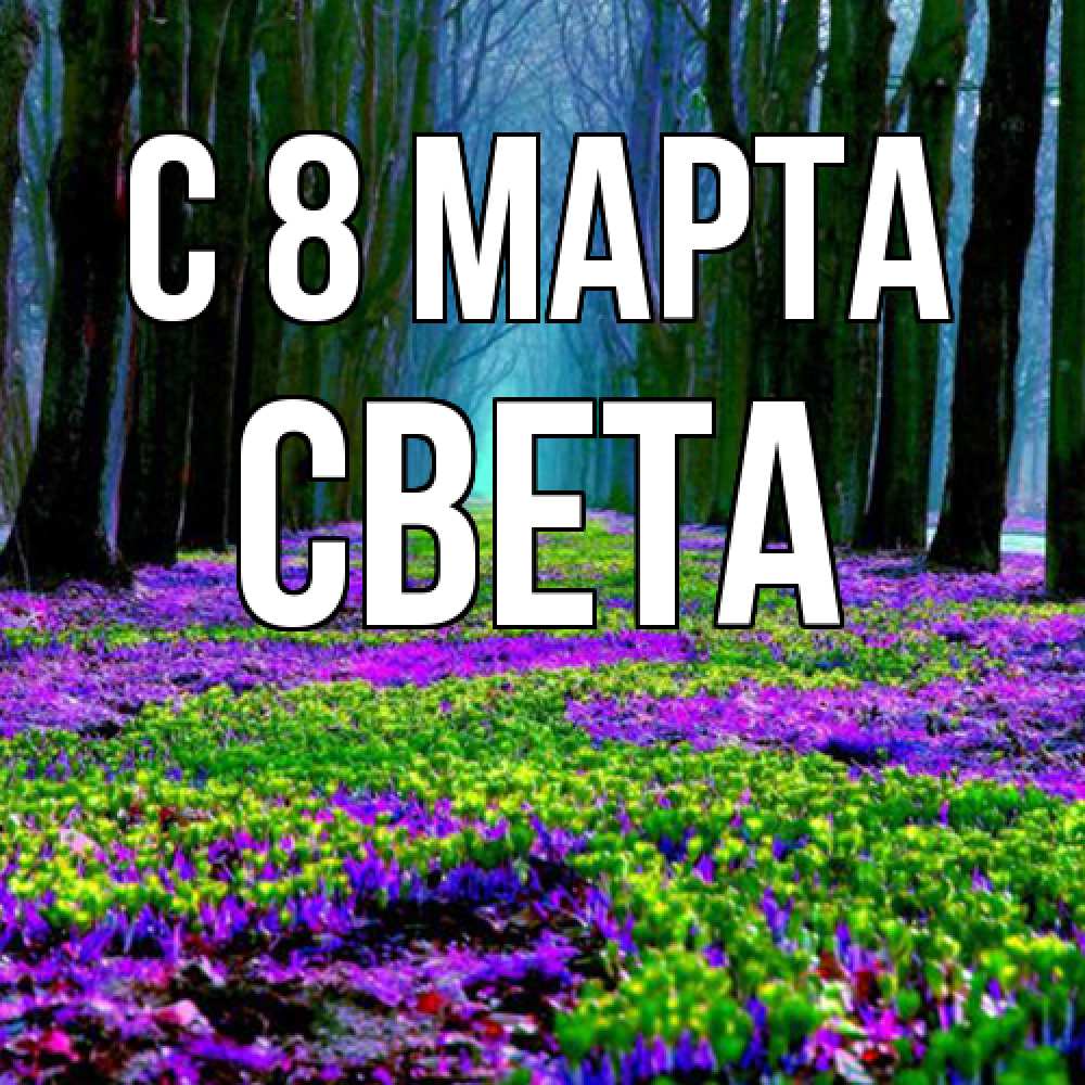 Открытка на каждый день с именем, Света C 8 МАРТА фиолетовые цветы в лесу 1 Прикольная открытка с пожеланием онлайн скачать бесплатно 