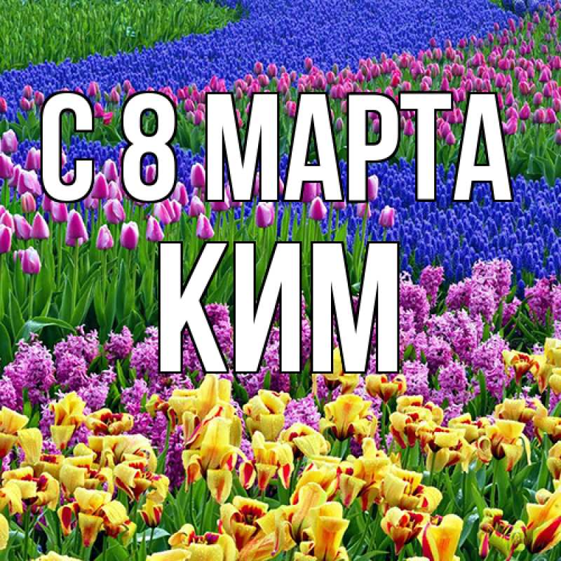 Картинка C 8 МАРТА, Ким