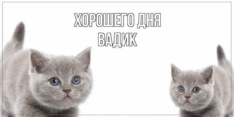 Картинка Хорошего дня, Вадик