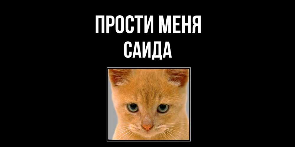 Открытка на каждый день с именем, Саида Прости меня рыжий грустный кот просит прощения Прикольная открытка с пожеланием онлайн скачать бесплатно 
