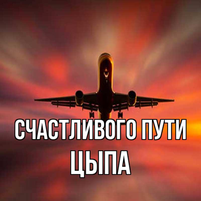 Картинка Счастливого пути, Цыпа