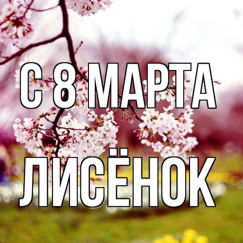Открытка на каждый день с именем, Лисёнок C 8 МАРТА яблоня Прикольная открытка с пожеланием онлайн скачать бесплатно 