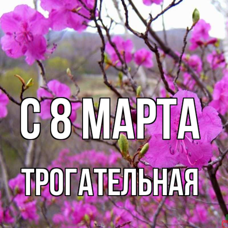 Картинка C 8 МАРТА, Тpогательная