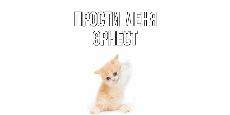 Картинка Прости меня, Эрнест