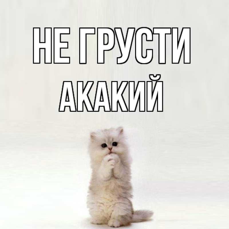 Картинка Не грусти, Акакий