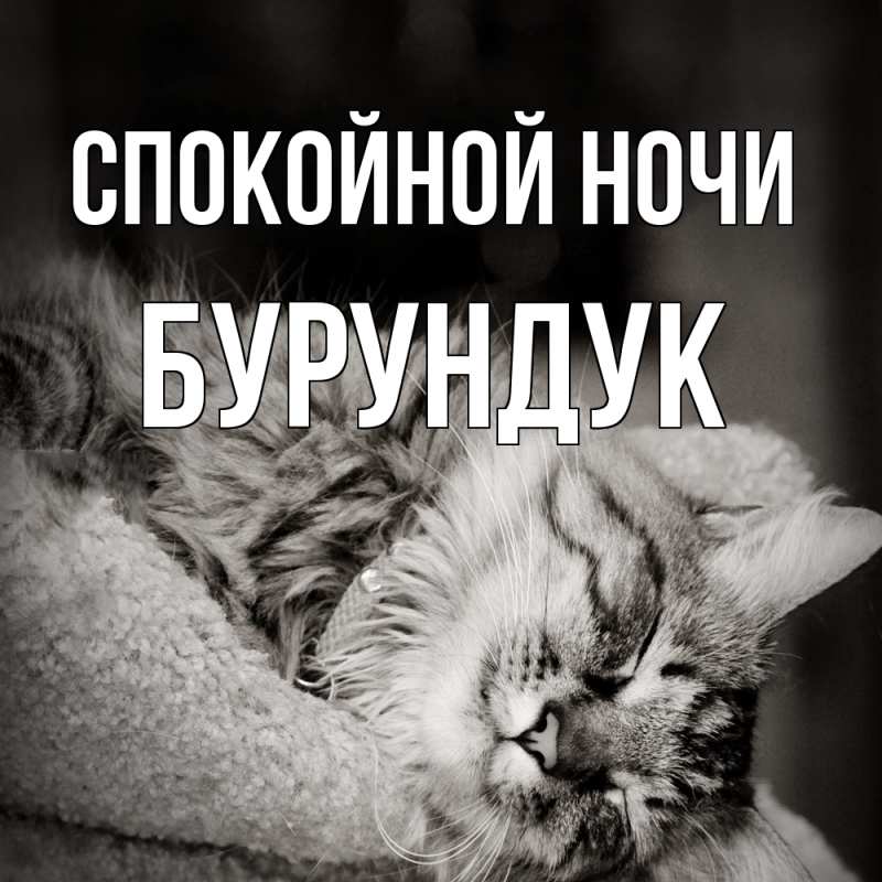 Картинка Спокойной ночи, Бурундук