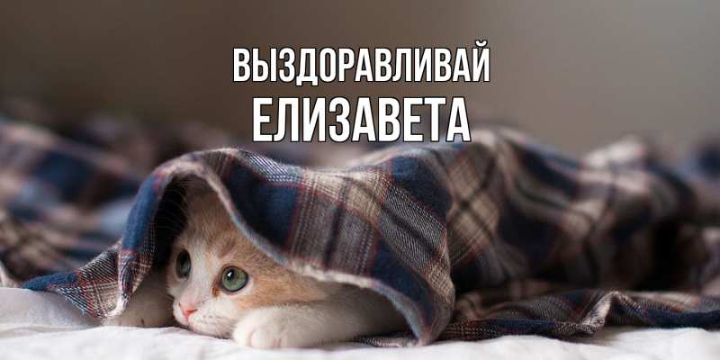 Картинка Выздоравливай, Елизавета