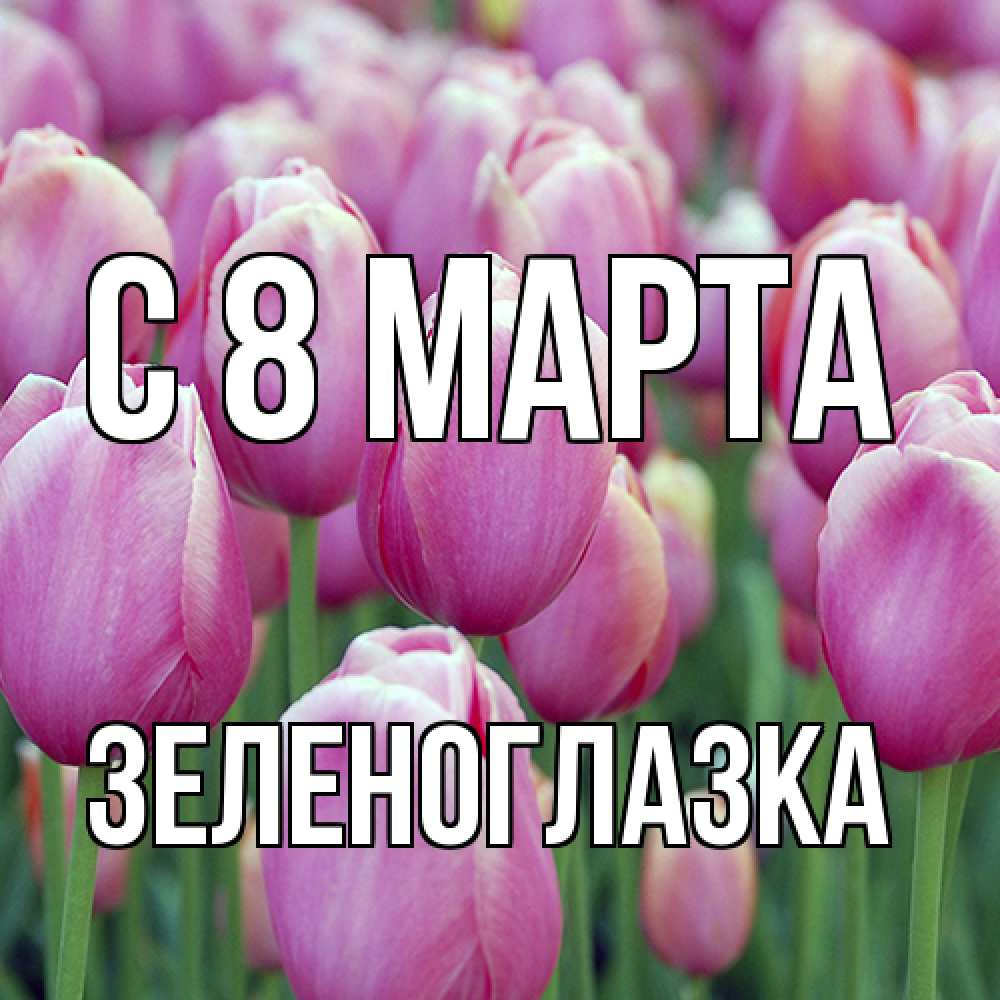 Открытка на каждый день с именем, зеленоглазка C 8 МАРТА на международный женский день 3 Прикольная открытка с пожеланием онлайн скачать бесплатно 