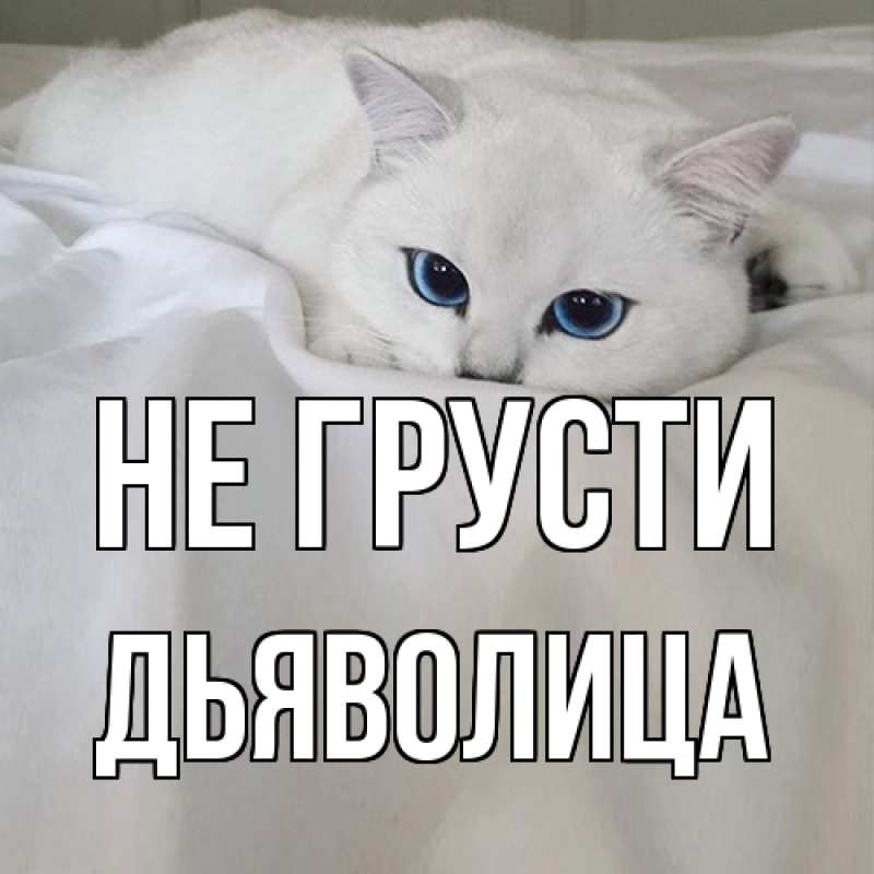 Картинка Не грусти, Дьяволица