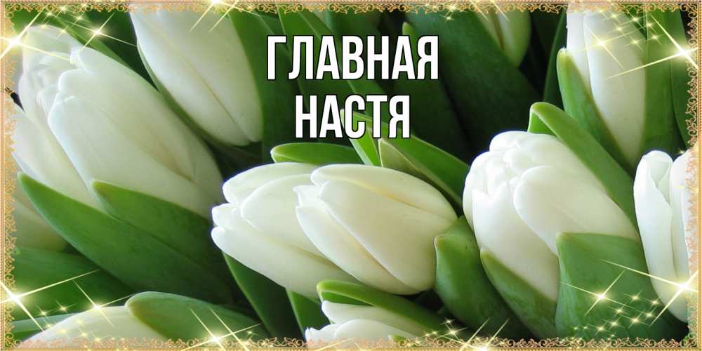 Открытка на каждый день с именем, настя Главная поздравляем с 8 марта Прикольная открытка с пожеланием онлайн скачать бесплатно 